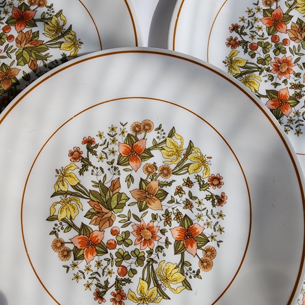 Set of (4) Corelle plates Indian Summer